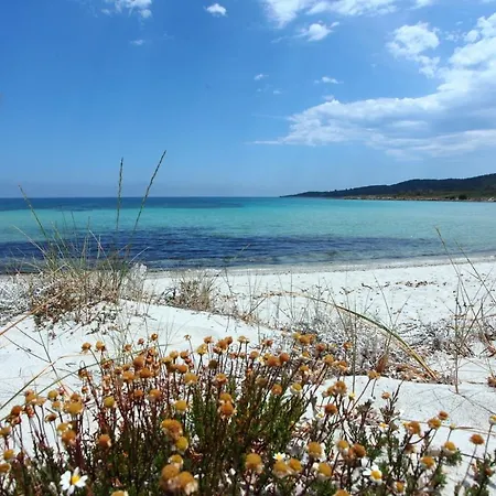 Appartamento Amazing & Comfy - With Private Parking *